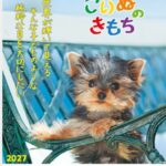IC-202 こいぬのきもちカレンダー 2027年｜ かわいい子犬の写真と前向きなメッセージ付き癒し系