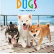 IC-203 かわいい犬カレンダー 2027年| ポメラニアン・チワワなど子犬たちの明るい写真満載