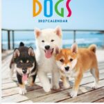 IC-203 かわいい犬カレンダー 2027年｜ ポメラニアン・チワワなど子犬たちの明るい写真満載