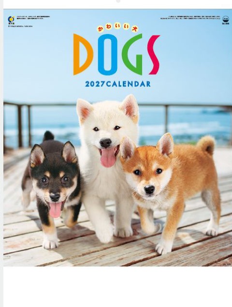 IC-203 かわいい犬カレンダー 2027年｜ ポメラニアン・チワワなど子犬たちの明るい写真満載
