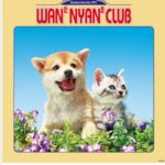 IC-214H わんにゃんクラブカレンダー 2027年｜ かわいい子犬と子猫の写真満載
