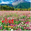 IC-215 四季の日本カレンダー 2027年| 富士山・桜・紅葉・雪景色 日本各地の四季風景