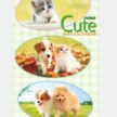 IC-234 CUTE キュートカレンダー 2027年｜ 子犬と子猫の愛らしい表情満載 癒し系