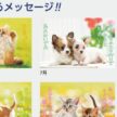 IC-254H すまいるカレンダー 2027年| 子犬と子猫の写真と心温まるメッセージ付き癒し