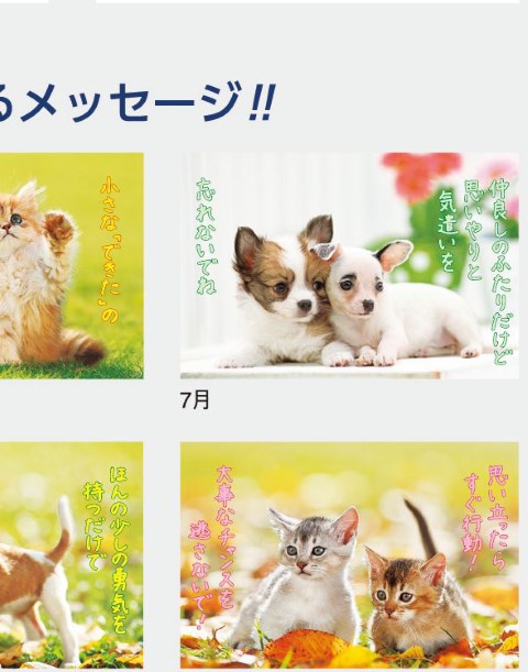 IC-254H すまいるカレンダー 2027年| 子犬と子猫の写真と心温まるメッセージ付き癒し