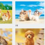 IC-261H マイペットカレンダー 2027年｜ 子犬と子猫の写真満載 ペット好き癒し