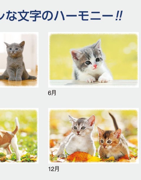 IC-262 Dear Familyカレンダー 2027年｜ 子犬と子猫の写真とおしゃれ文字の癒し系動物