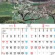 「NK-017 日本の庭」の画像。日本の伝統美が息づく庭園風景と抜群の書き込みやすさを両立。大きなメモ欄とマット紙で機能性に優れ、予定をスマートに管理できる名入れカレンダーです。