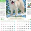「NK-024 フレンドリードッグス」の画像。人気の犬種が毎月登場し、かわいい姿に癒やされます。犬のしつけや健康維持に役立つ便利な情報も掲載された、愛犬家向けの名入れカレンダーです。