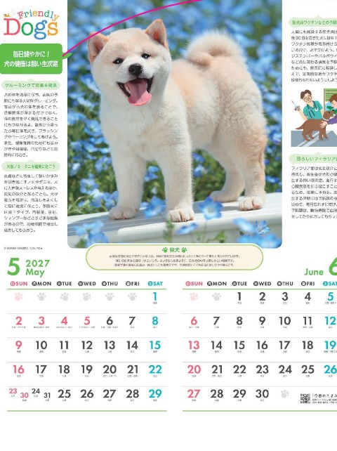 「NK-024 フレンドリードッグス」の画像。人気の犬種が毎月登場し、かわいい姿に癒やされます。犬のしつけや健康維持に役立つ便利な情報も掲載された、愛犬家向けの名入れカレンダーです。