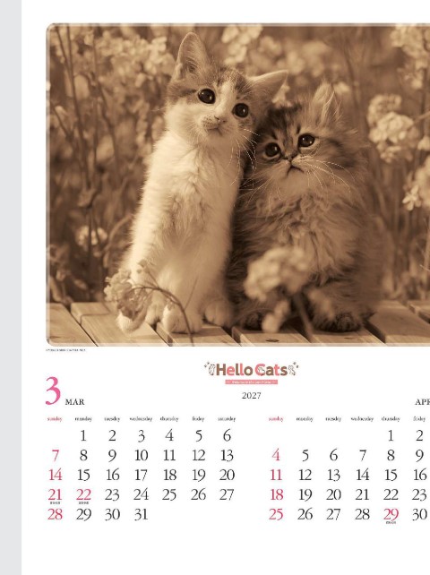 「NK-027 ハローキャット」の画像。愛らしい猫たちの表情に毎日癒やされます。思わず笑顔になるキュートな写真が満載で、お部屋がパッと和む猫好きにはたまらない名入れカレンダーです。