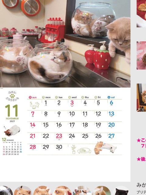 「NK-033 みかんとじろうさんちカレンダー」の画像。SNSで大人気の猫ファミリー7匹の愛らしい日常を収録。愛くるしい表情やポーズが満載で、猫好きにはたまらない名入れカレンダーです。