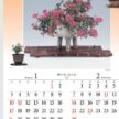 「NK-046 野の花・山の花」の画像。素朴で生命力あふれる山野草盆栽の美しさを表現。四季折々の自然の風情を楽しみながら、毎日の予定をスマートに管理できる名入れカレンダーです。