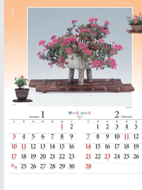 「NK-046 野の花・山の花」の画像。素朴で生命力あふれる山野草盆栽の美しさを表現。四季折々の自然の風情を楽しみながら、毎日の予定をスマートに管理できる名入れカレンダーです。