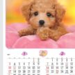 「NK-049 チャーミングメイト」の画像。愛くるしい子犬と子猫のベストショットが大集合。思わず笑みがこぼれる可愛い表情に癒やされながらスケジュール管理できる名入れカレンダーです。