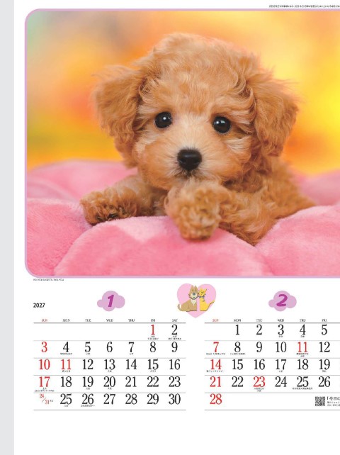 「NK-049 チャーミングメイト」の画像。愛くるしい子犬と子猫のベストショットが大集合。思わず笑みがこぼれる可愛い表情に癒やされながらスケジュール管理できる名入れカレンダーです。