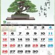 NK-091 一木一草カレンダー壁掛け 2027年| 盆栽の美しさと四季の風情を堪能できる盆栽芸術