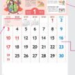 NK-098 免疫力アップカレンダー壁掛け 2027年｜ 毎日の健康管理と免疫力アップの生活習慣を楽しく学べる