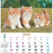 NK-109 マイペットカレンダー壁掛け 2027年| 毎月かわいい子犬と子猫が登場する癒し系ペット写真