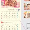 NK-434 ナチュラルドッグカレンダー壁掛け 2027年｜ あどけない子犬の可愛い写真をコンパクトサイズで楽しめる犬のカレンダー
