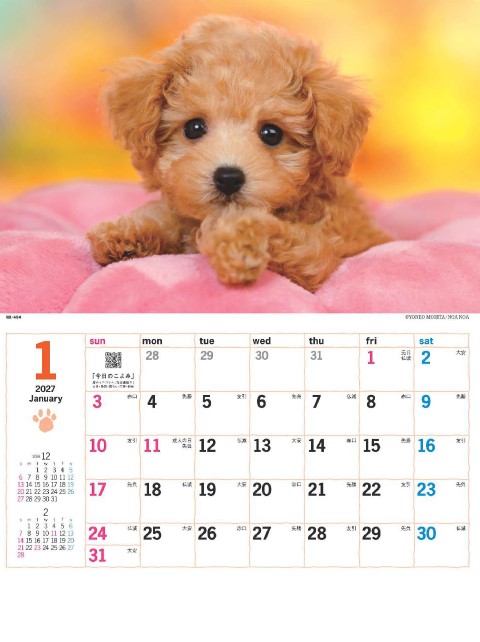 カレンダー「NK-454 サンキュー・ドッグ」の画像。ピュアな瞳で見つめる可愛い子犬たちの写真が満載。愛くるしいポーズに毎日胸キュン必至の、暮らしに笑顔と癒やしを運ぶ子犬の名入れカレンダーです。