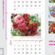 カレンダー「NK-903 フローラルヒーリング」の画像。可憐な花々の写真と花療法のヒントに癒やされます。花のエネルギーで心身を整えつつ、2ヶ月分の予定を同時に美しく整理できる機能的な名入れカレンダー。