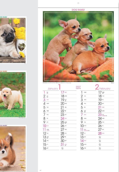 SG-142 ドッグファミリーカレンダー 2027年｜ 自然と遊ぶかわいい子犬たちの人気壁掛けカレンダー