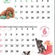 SG-229 DOG・DOG・DOGカレンダー 2027年｜ 心を癒やす愛らしい子犬たちの人気壁掛けカレンダー