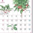 SG-277 ブルーミング デイズカレンダー 2027年｜ 美しい自然の恵みを描く植物画カレンダー