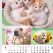 SG-543 マイペット フィルムカレンダー 2027年| 可愛いペットたちが大集合 子犬や子猫の愛らしい表情を美しく印刷