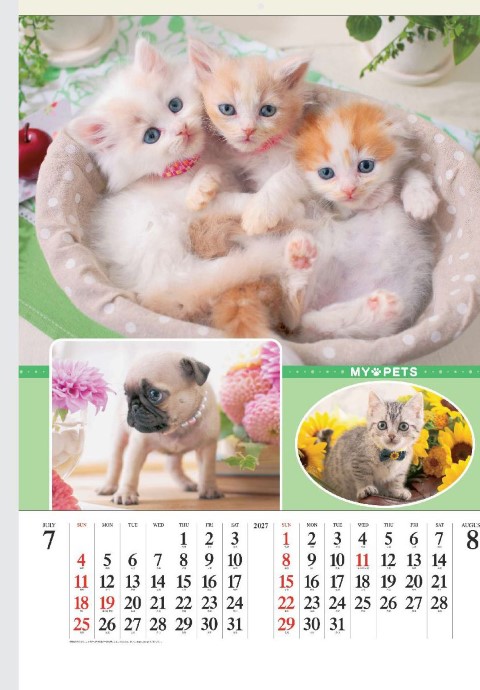 SG-543 マイペット フィルムカレンダー 2027年｜ 可愛いペットたちが大集合 子犬や子猫の愛らしい表情を美しく印刷
