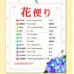 SP-072 花便り卓上カレンダー 2027年| 季節のしらべ 和柄と色彩の上品卓上カレンダー