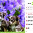 SP-304 ウィズドッグ卓上カレンダー 2027年| 愛らしい表情に元気をもらおう!子犬の卓上カレンダー