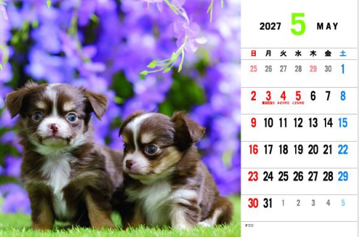 SP-304 ウィズドッグ卓上カレンダー 2027年｜ 愛らしい表情に元気をもらおう！子犬の卓上カレンダー