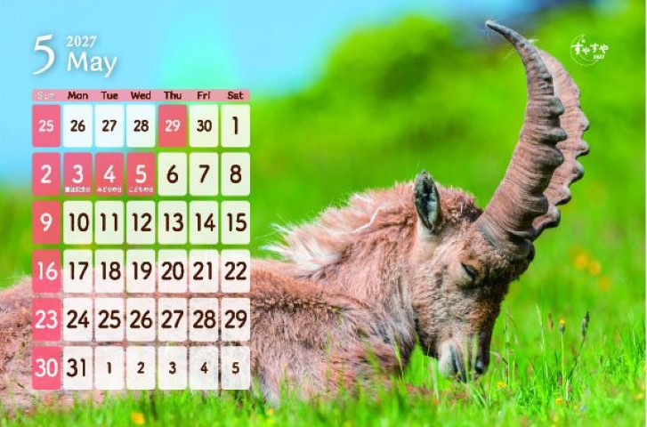 SP-306 すやすや卓上カレンダー 2027年｜ 癒しの寝姿でリラックス 平和な時間が訪れる動物卓上カレンダー