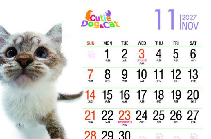 SP-431 リトルスタンドキューティー（ドッグ＆キャット）卓上カレンダー 2027年｜ ユーモラスな表情がかわいい犬猫卓上カレンダー