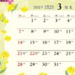 TD-267 卓上L・花あそびカレンダー 2027年｜ 四季の草花が優しい気持ちを届ける花あそび卓上カレンダー