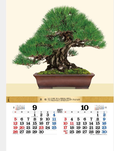 TD-624 盆栽DXカレンダー 2027年｜ 世界に誇る日本の芸術「盆栽」が大迫力で楽しめる盆栽カレンダー