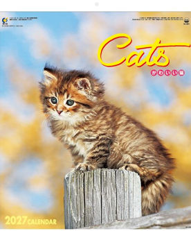 IC-201 かわいい猫 2027年 名入れカレンダー。やんちゃで可愛い子猫たちの表情豊かな写真が毎月を彩る