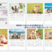 2027年版 名入れカレンダー IC-200 FOR YOU ペット（犬・猫）